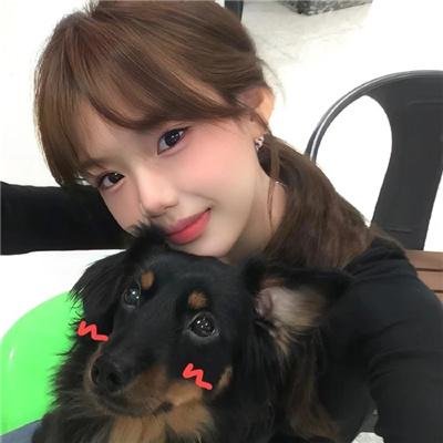 我的情敌女婿