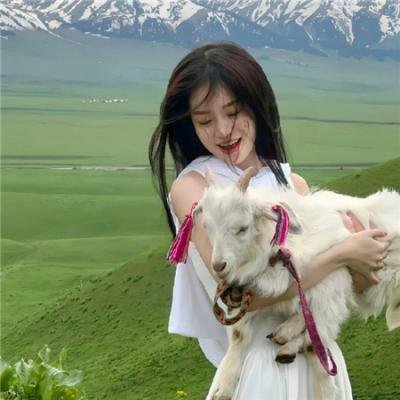 机关算尽深宫计粤语